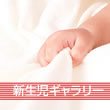診療案内